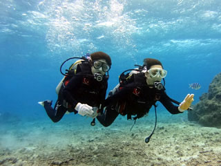サンゴと熱帯魚に会える体験ダイビング3