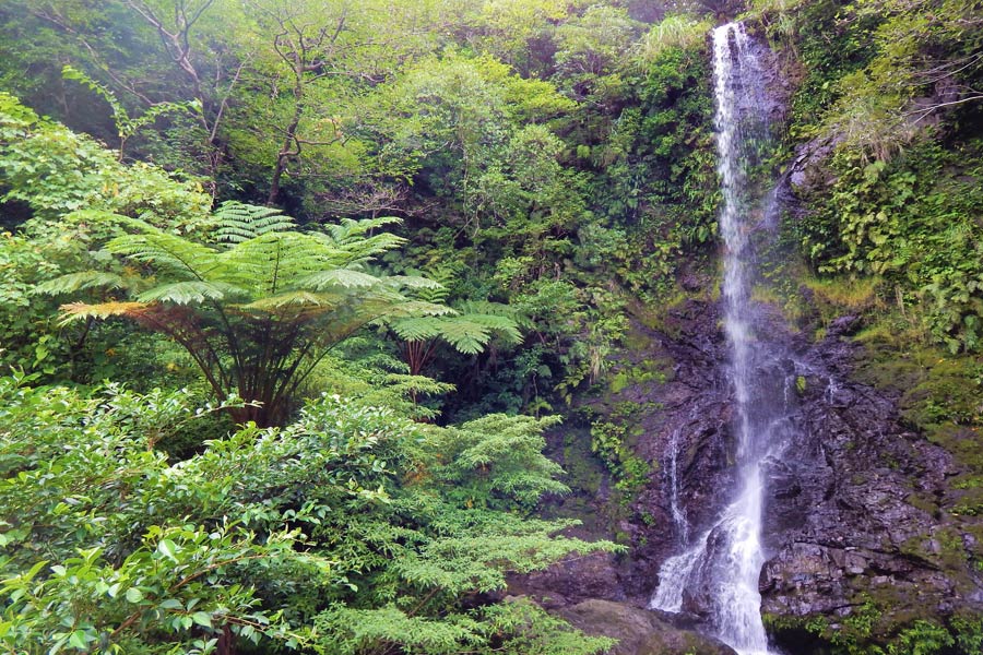 加計呂麻島 嘉入の滝